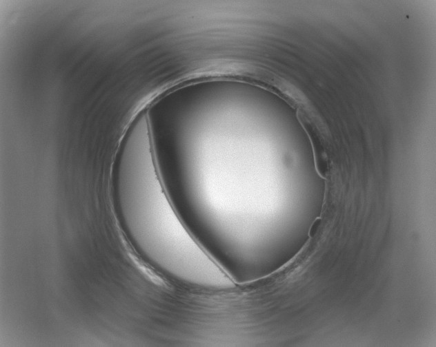 X0000065230842200602170926