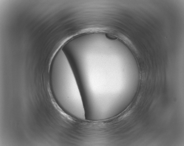 X0000065230844200602170926