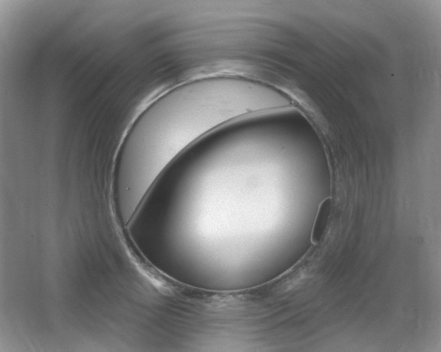 X0000065230850200602170926