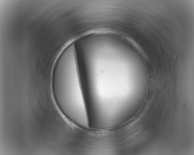X0000065230853200602170926