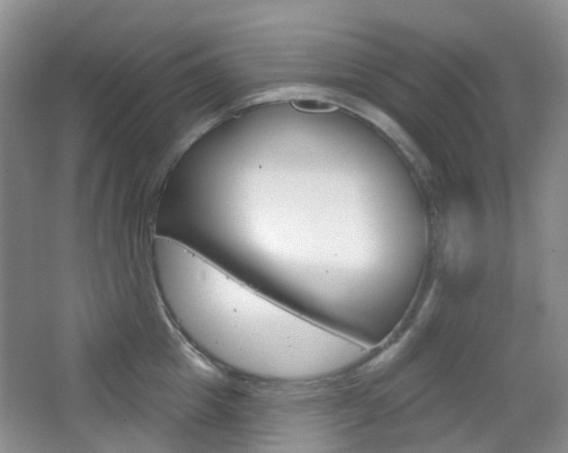 X0000065230857200602170926