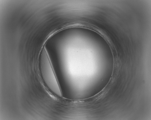 X0000065230858200602170926