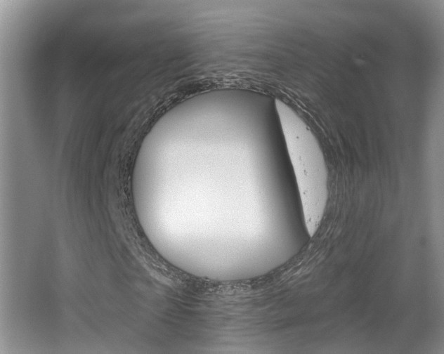X0000065230865200602170925