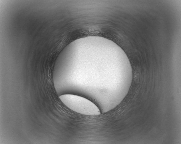 X0000065230866200602170925