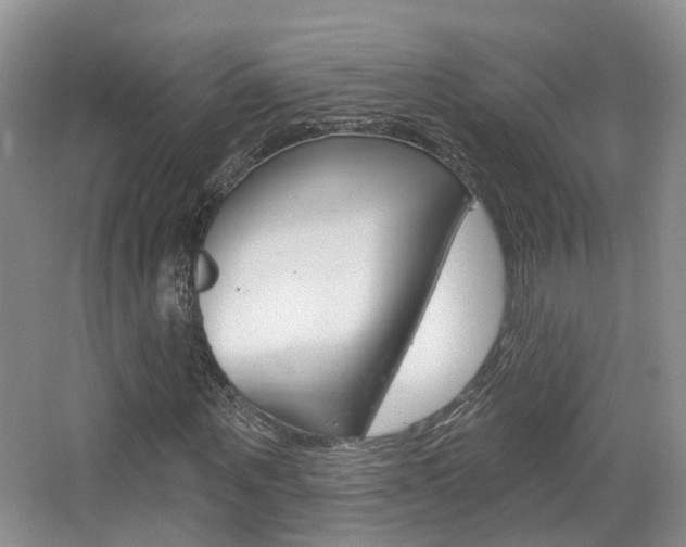 X0000065230867200602170925