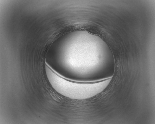 X0000065230868200602170925