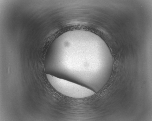 X0000065230869200602170925