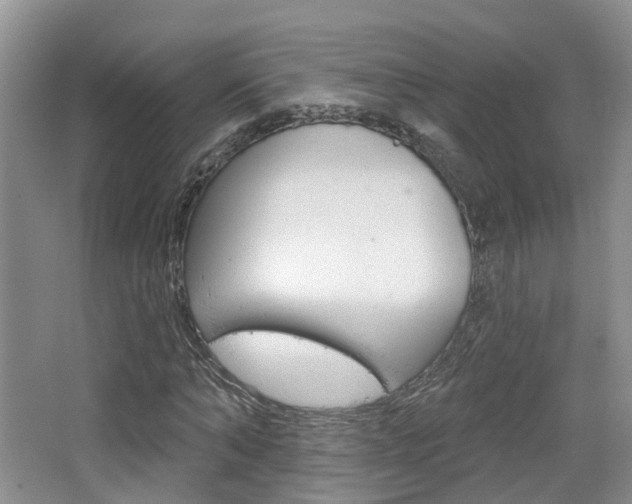 X0000065230870200602170925