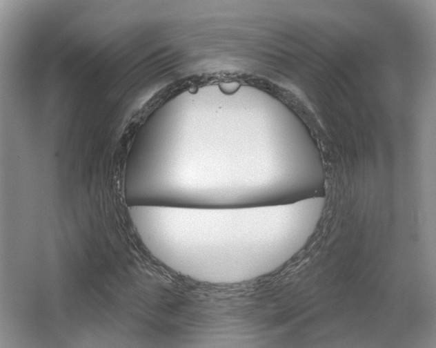 X0000065230871200602170925