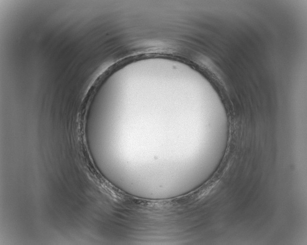 X0000065230875200602170925