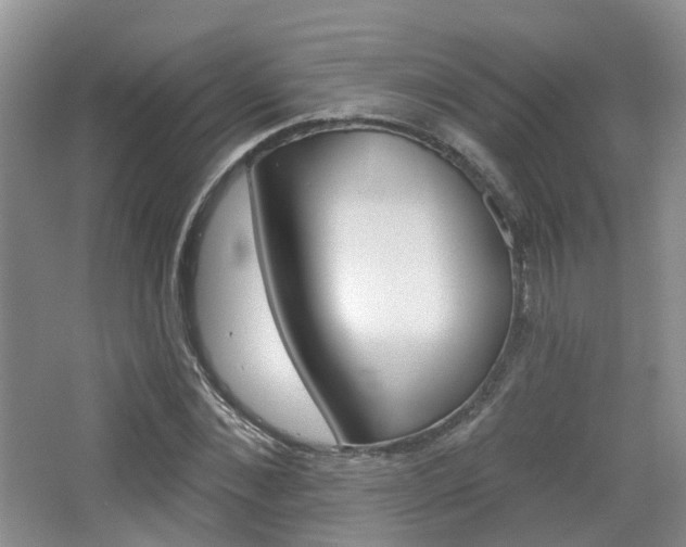 X0000065230876200602170925