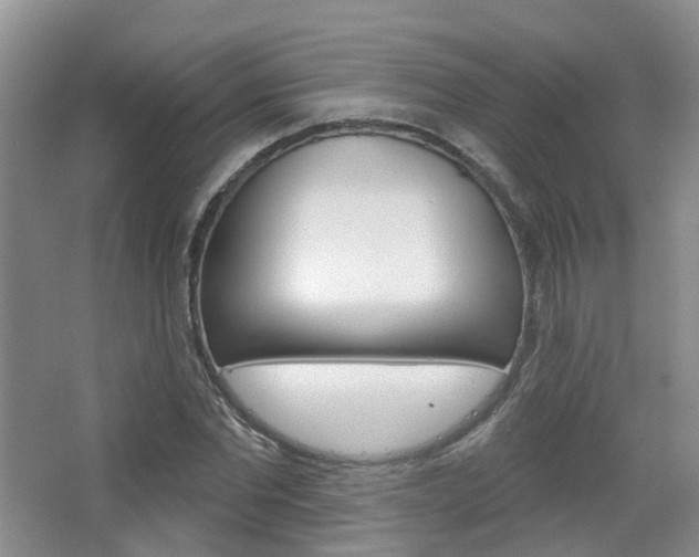 X0000065230877200602170925