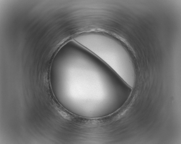 X0000065230881200602170925