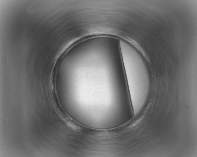 X0000065230885200602170925