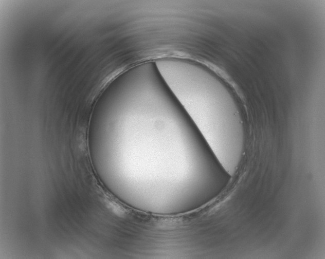 X0000065230889200602170925