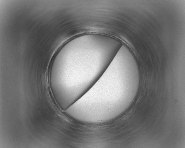 X0000065230891200602170925