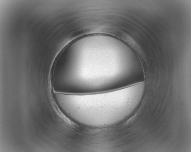 X0000065230892200602170925