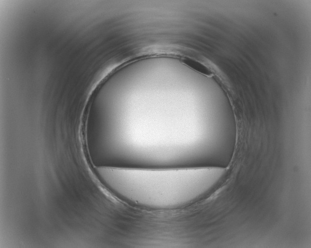 X0000065230893200602170925