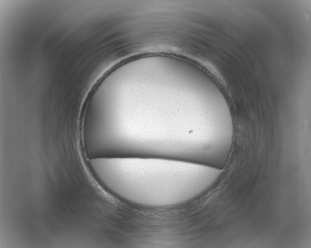 X0000065230895200602170925