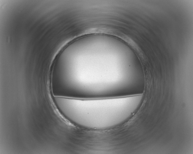 X0000065230896200602170925