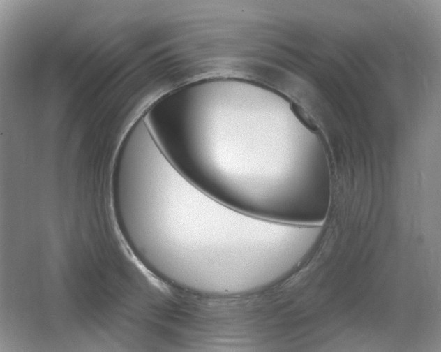 X0000065230898200602170925