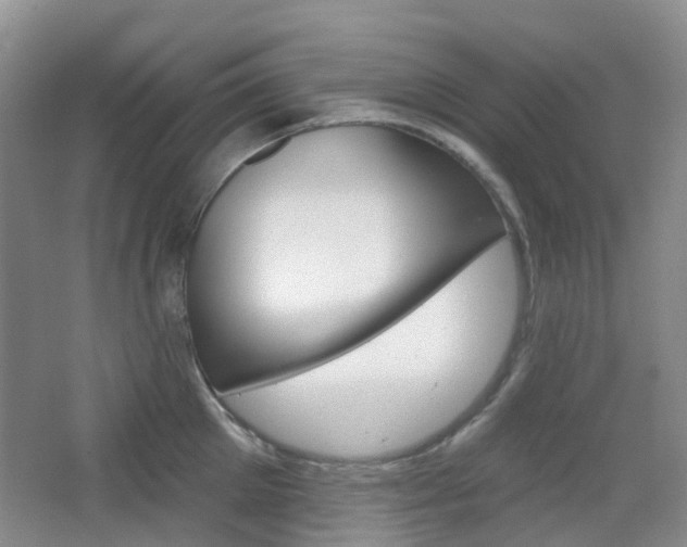 X0000065230905200602170925