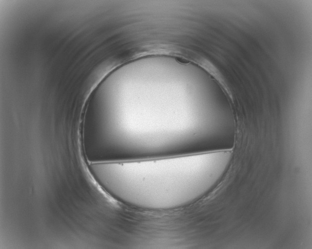 X0000065230906200602170925