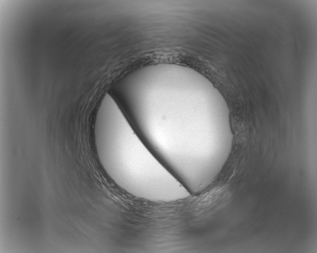 X0000065230913200602170924