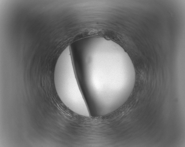 X0000065230914200602170924