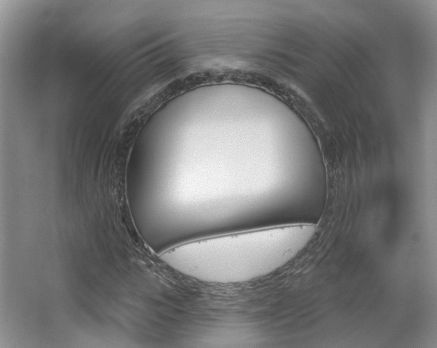 X0000065230919200602170924