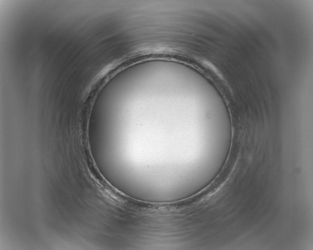 X0000065230922200602170924