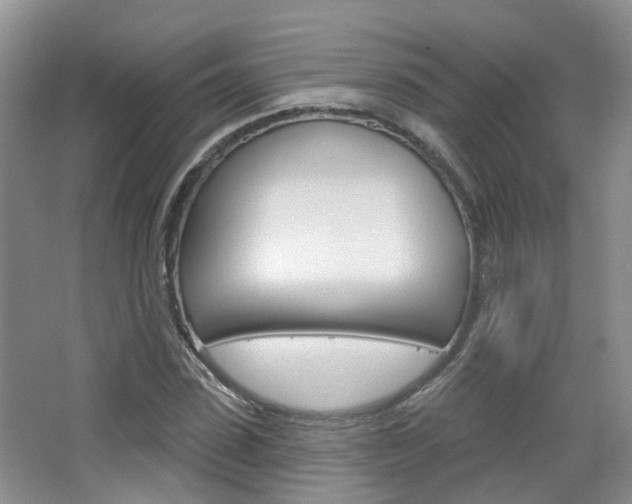 X0000065230923200602170924