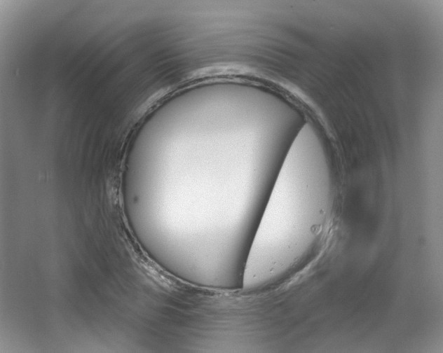 X0000065230929200602170924