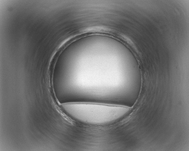 X0000065230931200602170924