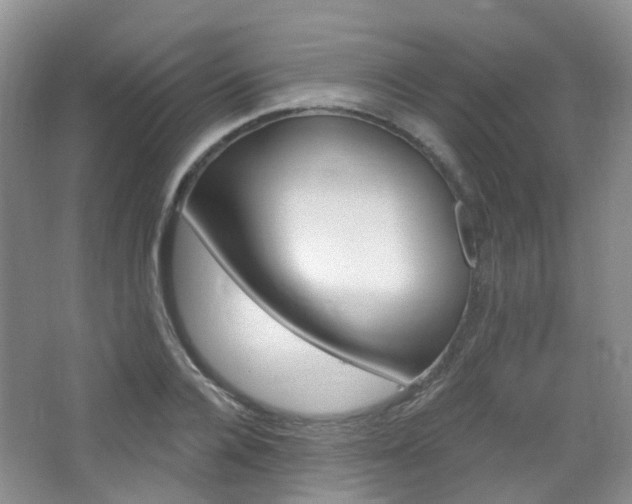 X0000065230936200602170924