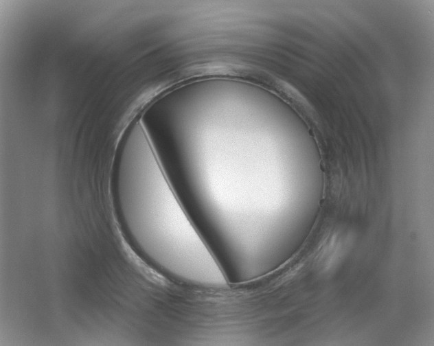 X0000065230938200602170924
