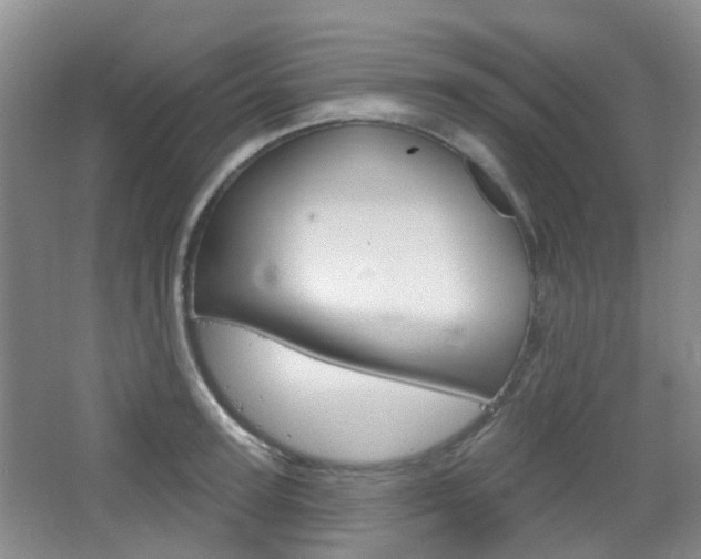 X0000065230947200602170924