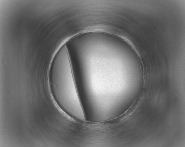 X0000065230949200602170924
