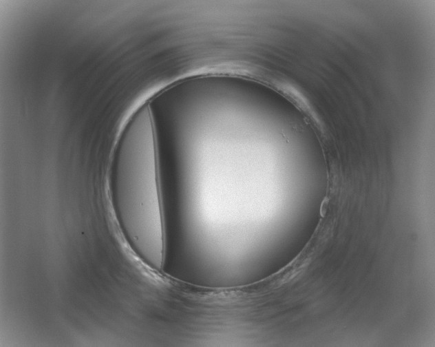 X0000065230952200602170924