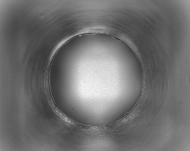 X0000065230960200602170925