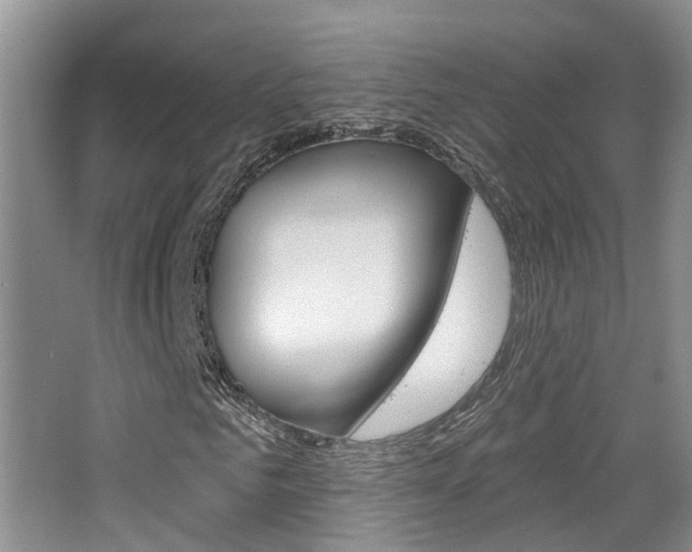 X0000065230961200602170924