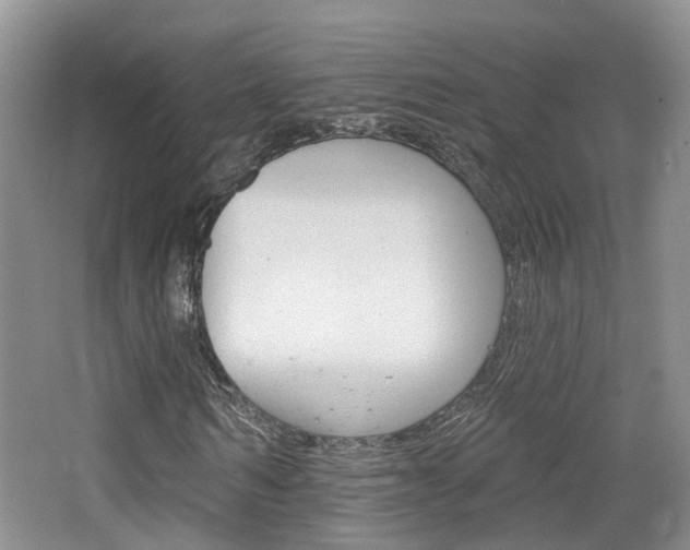 X0000065230962200602170924