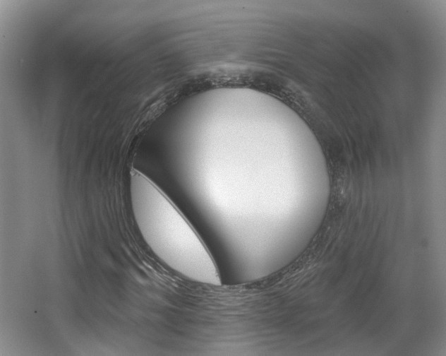 X0000065230964200602170924
