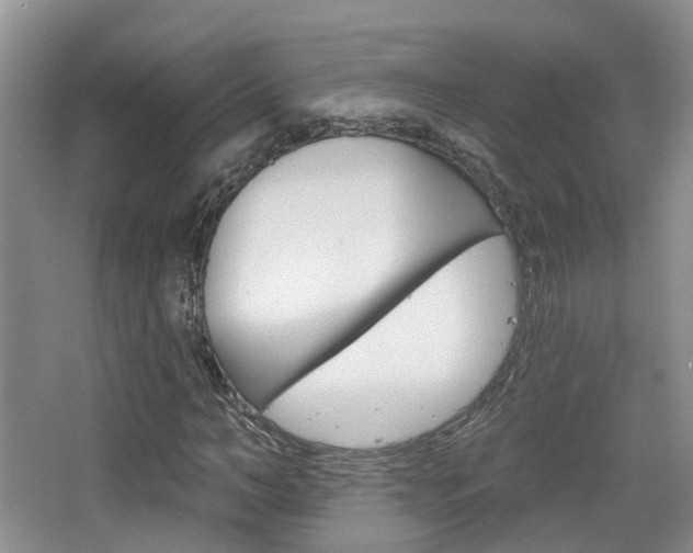 X0000065230966200602170924