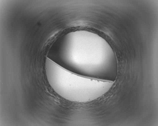 X0000065230967200602170924