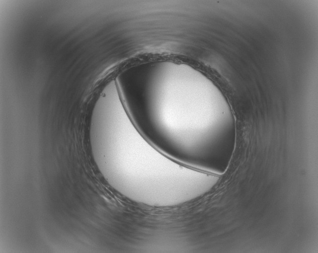 X0000065230968200602170924