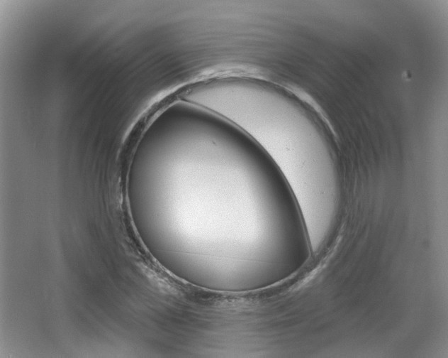 X0000065230973200602170924