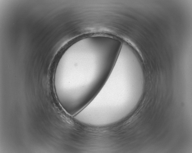 X0000065230975200602170923