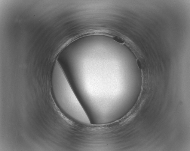 X0000065230985200602170923