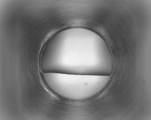 X0000065230986200602170923
